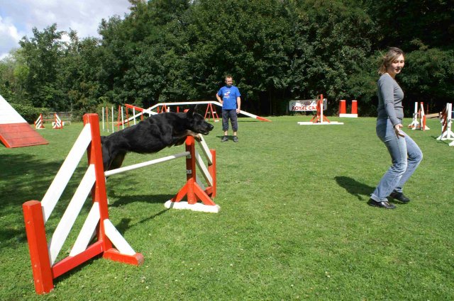 agility 2011-07-24